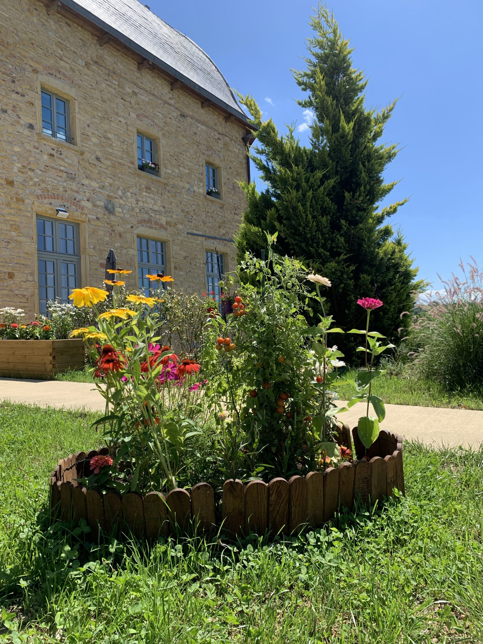 Fleurs jardinage seniors résidence clos saint gildas